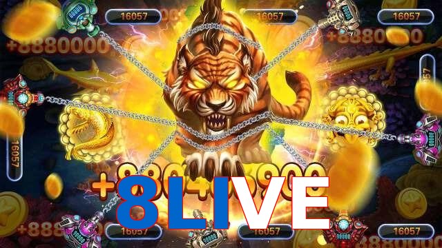 8LIVE
