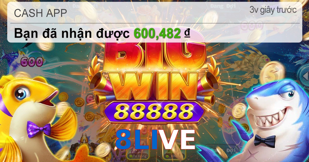 8LIVE