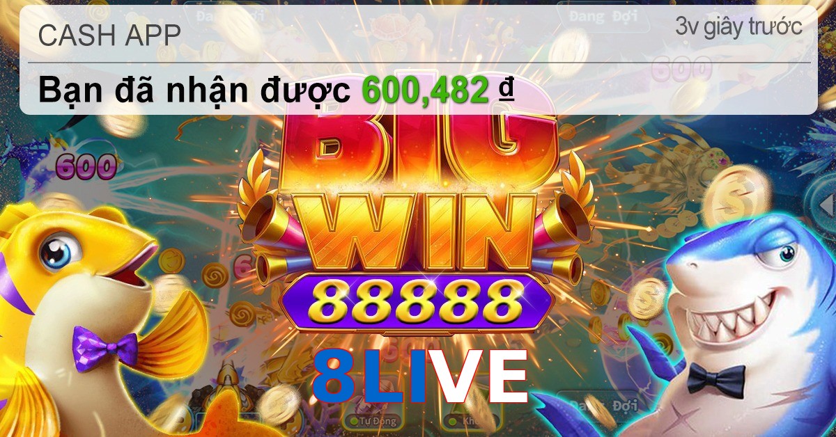 8LIVE
